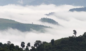 不知道這個？還敢說你懂普洱茶嗎？