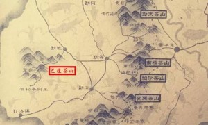 勐海巴達(dá)山普洱茶介紹，巴達(dá)山古樹茶口感特點(diǎn)